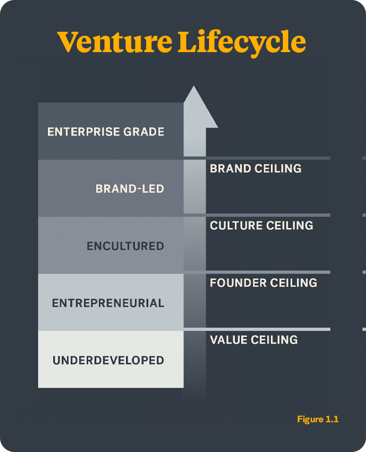 Venture Lifecycle